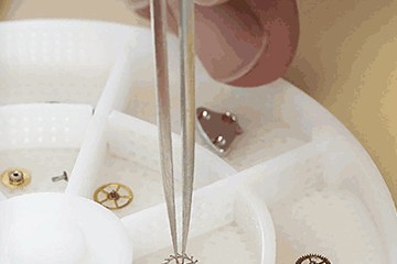 广州劳力士不转动了